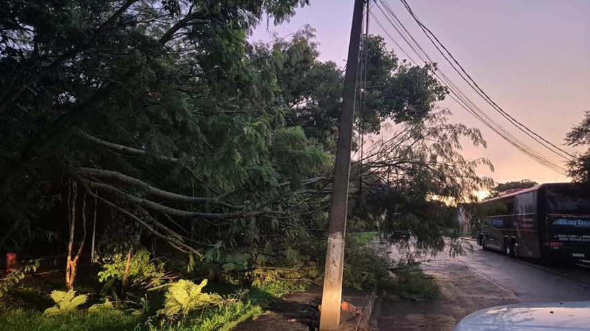Forte temporal atinge Toledo e deixa vários bairros sem energia