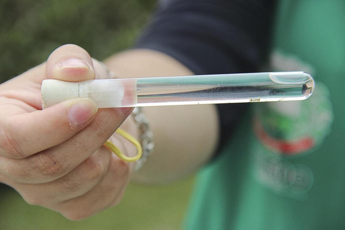 Infestação de dengue em Toledo está acima do limite de 1%