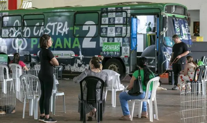 Toledo recebe segunda edição do programa Castra Mais Paraná