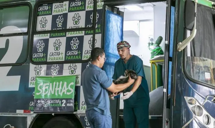 Toledo recebe segunda edição do programa Castra Mais Paraná